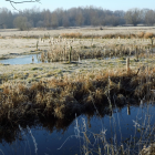 Moorimpression
